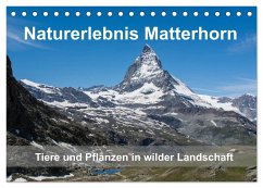 Naturerlebnis Matterhorn (Tischkalender 2025 DIN A5 quer), CALVENDO Monatskalender