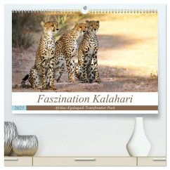 Faszination Kalahari (hochwertiger Premium Wandkalender 2025 DIN A2 quer), Kunstdruck in Hochglanz
