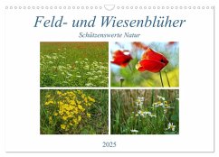 Feld- und Wiesenblüher Schützenswerte Natur (Wandkalender 2025 DIN A3 quer), CALVENDO Monatskalender