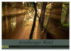 Arnsberger Wald (Wandkalender 2025 DIN A2 quer), CALVENDO Monatskalender