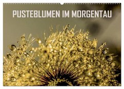 Pusteblumen im Morgentau (Wandkalender 2025 DIN A2 quer), CALVENDO Monatskalender