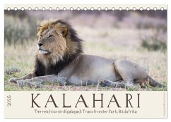 Kalahari - Tierreichtum im Kgalagadi Transfrontier Park, Südafrika (Tischkalender 2025 DIN A5 quer), CALVENDO Monatskalender