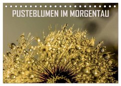 Pusteblumen im Morgentau (Tischkalender 2025 DIN A5 quer), CALVENDO Monatskalender