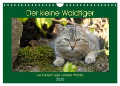 Der kleine Waldtiger (Wandkalender 2025 DIN A4 quer), CALVENDO Monatskalender