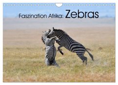 Faszination Afrika: Zebras (Wandkalender 2025 DIN A4 quer), CALVENDO Monatskalender - Calvendo;Weiß, Elmar