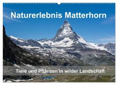 Naturerlebnis Matterhorn (Wandkalender 2025 DIN A2 quer), CALVENDO Monatskalender