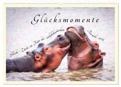 Glücksmomente Glücks-Zitate zu Fotos der großartigen südafrikanischen Tierwelt (Wandkalender 2025 DIN A2 quer), CALVENDO Monatskalender - Calvendo;Innere Stärke, Lebensfreude