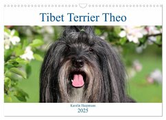 Tibet Terrier Theo (Wandkalender 2025 DIN A3 quer), CALVENDO Monatskalender