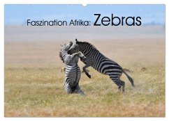 Faszination Afrika: Zebras (Wandkalender 2025 DIN A2 quer), CALVENDO Monatskalender - Calvendo;Weiß, Elmar