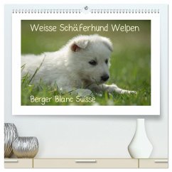 Weisse Schäferhund Welpen - Berger Blanc Suisse (hochwertiger Premium Wandkalender 2025 DIN A2 quer), Kunstdruck in Hochglanz