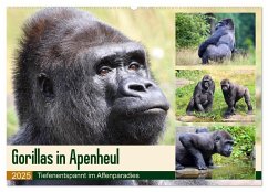 Flachlandgorillas in Apenheul (Wandkalender 2025 DIN A2 quer), CALVENDO Monatskalender - Calvendo;und Michael Herzog, Yvonne