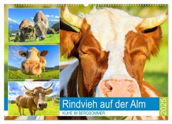 Rindvieh auf der Alm. Kühe im Bergsommer (Wandkalender 2025 DIN A2 quer), CALVENDO Monatskalender