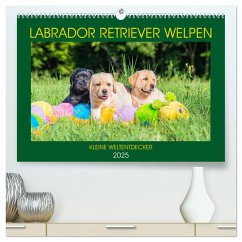 Labrador Retriever Welpen - Kleine Weltentdecker (hochwertiger Premium Wandkalender 2025 DIN A2 quer), Kunstdruck in Hochglanz