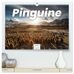 Pinguine - Die sympathischen Frack-Träger (hochwertiger Premium Wandkalender 2025 DIN A2 quer), Kunstdruck in Hochglanz - Calvendo;Lederer, Benjamin