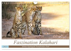 Faszination Kalahari (Wandkalender 2025 DIN A4 quer), CALVENDO Monatskalender - Calvendo;Woyke, Wibke