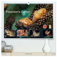 Poseidon's Garten (hochwertiger Premium Wandkalender 2025 DIN A2 quer), Kunstdruck in Hochglanz