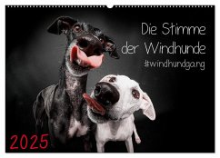 Die Stimme der Windhunde (Wandkalender 2025 DIN A2 quer), CALVENDO Monatskalender - Calvendo;Gier, Marcus