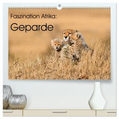 Faszinaton Afrika: Geparde (hochwertiger Premium Wandkalender 2025 DIN A2 quer), Kunstdruck in Hochglanz
