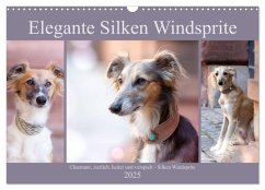 Elegante Silken Windsprite (Wandkalender 2025 DIN A3 quer), CALVENDO Monatskalender