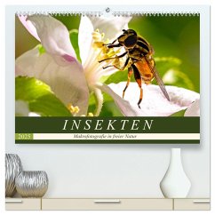 INSEKTEN - Makrofotografie in freier Natur (hochwertiger Premium Wandkalender 2025 DIN A2 quer), Kunstdruck in Hochglanz - Calvendo;Dreegmeyer, Andrea