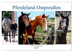 Pferdeland Ostpreußen - Gestüt Georgenburg (Wandkalender 2025 DIN A2 quer), CALVENDO Monatskalender