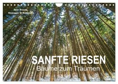 Sanfte Riesen - Bäume zum Träumen (Wandkalender 2025 DIN A4 quer), CALVENDO Monatskalender