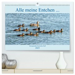 Alle meine Entchen ... Entenparadies Kurisches Haff (hochwertiger Premium Wandkalender 2025 DIN A2 quer), Kunstdruck in Hochglanz - Calvendo;Löwis of Menar, Henning von