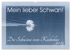 Mein lieber Schwan! Die Schwäne vom Kochelsee. (Wandkalender 2025 DIN A2 quer), CALVENDO Monatskalender - Calvendo;van der Wiel www.kalender-atelier.de, Irma