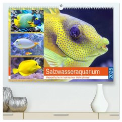 Salzwasseraquarium. Meeresfische im heimischen Wohnzimmer (hochwertiger Premium Wandkalender 2025 DIN A2 quer), Kunstdruck in Hochglanz