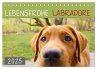 Lebensfrohe Labradore (Tischkalender... - Bild 1