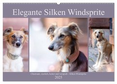 Elegante Silken Windsprite (Wandkalender 2025 DIN A2 quer), CALVENDO Monatskalender