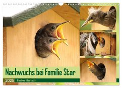 Nachwuchs bei Familie Star (Wandkalender 2025 DIN A3 quer), CALVENDO Monatskalender