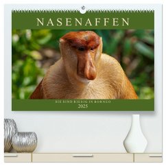 Nasenaffen von Borneo (hochwertiger Premium Wandkalender 2025 DIN A2 quer), Kunstdruck in Hochglanz - Calvendo;Wünsche, Arne