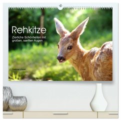 Rehkitze, zierliche Schönheiten mit großen, sanften Augen (hochwertiger Premium Wandkalender 2025 DIN A2 quer), Kunstdruck in Hochglanz