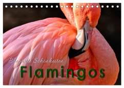 Flamingos - elegante Schönheiten (Tischkalender 2025 DIN A5 quer), CALVENDO Monatskalender - Calvendo;Roder, Peter