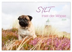 Sylt - Insel der Möpse (Wandkalender 2025 DIN A2 quer), CALVENDO Monatskalender