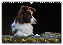 Traumhund Border Collie (Wandkalender 2025 DIN A4 quer), CALVENDO Monatskalender