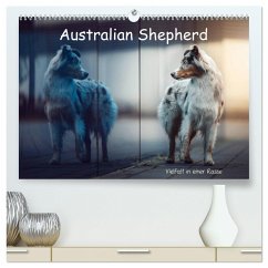 Australian Shepherd - Vielfalt in einer Rasse (hochwertiger Premium Wandkalender 2025 DIN A2 quer), Kunstdruck in Hochglanz
