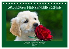 Goldige Herzensbrecher - Golden Retriever Welpen (Tischkalender 2025 DIN A5 quer), CALVENDO Monatskalender