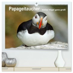 Papageitaucher - kleine Vögel ganz groß! (hochwertiger Premium Wandkalender 2025 DIN A2 quer), Kunstdruck in Hochglanz