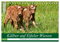 Kälber auf Eifeler Wiesen (Tischkalender 2025 DIN A5 quer), CALVENDO Monatskalender