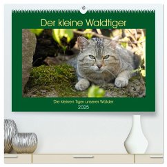 Der kleine Waldtiger (hochwertiger Premium Wandkalender 2025 DIN A2 quer), Kunstdruck in Hochglanz - Calvendo;Brack, Roland