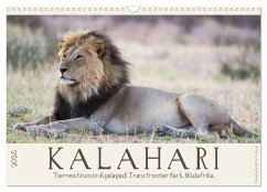 Kalahari - Tierreichtum im Kgalagadi Transfrontier Park, Südafrika (Wandkalender 2025 DIN A3 quer), CALVENDO Monatskalender