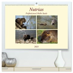 Nutrias Peißnitzinsel Halle Saale (hochwertiger Premium Wandkalender 2025 DIN A2 quer), Kunstdruck in Hochglanz