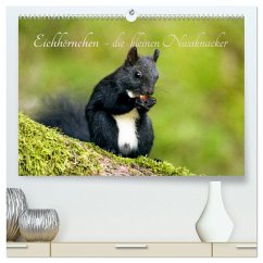 Eichhörnchen - die kleinen Nussknacker (hochwertiger Premium Wandkalender 2025 DIN A2 quer), Kunstdruck in Hochglanz - Calvendo;Holtz, Alena