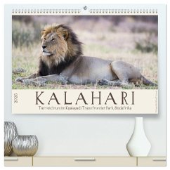 Kalahari - Tierreichtum im Kgalagadi Transfrontier Park, Südafrika (hochwertiger Premium Wandkalender 2025 DIN A2 quer), Kunstdruck in Hochglanz