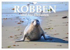 Robben und See-Elefanten (Wandkalender 2025 DIN A4 quer), CALVENDO Monatskalender - Calvendo;Styppa, Robert