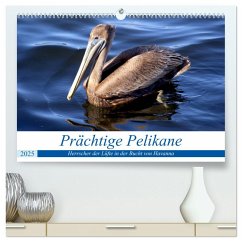 Prächtige Pelikane - Herrscher der Lüfte in der Bucht von Havanna (hochwertiger Premium Wandkalender 2025 DIN A2 quer), Kunstdruck in Hochglanz - Calvendo;Löwis of Menar, Henning von