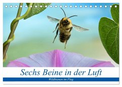 Sechs Beine in der Luft - Wildbienen im Flug (Tischkalender 2025 DIN A5 quer), CALVENDO Monatskalender - Calvendo;Skonieczny, André