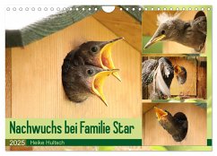 Nachwuchs bei Familie Star (Wandkalender 2025 DIN A4 quer), CALVENDO Monatskalender - Calvendo;Hultsch, Heike